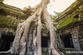 探访洪洞大槐树寻根祭祖园，感受根文化，了解历史图片