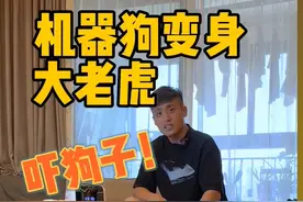 用机器狗吓狗子！！机器狗变身大老虎图片