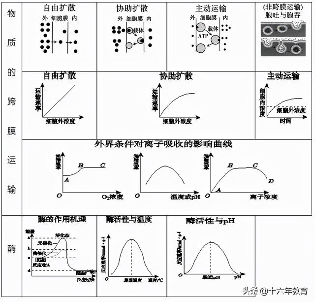 高中生物三年必背知识最全汇总（建议打印）