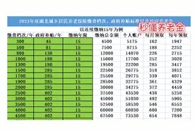 2023年度湖北城乡居民养老保险缴费档次，补贴标准，待遇领取标准图片
