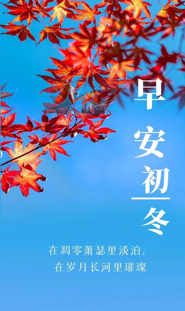 「2022.11.19」早安心语，正能量暖心语录句子 清晨激励人心的图片