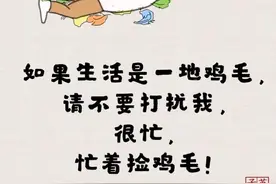 即使生活给了我一地鸡毛，我也要把它扎成漂亮的鸡毛掸子图片