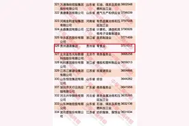 贵州两家企业入选！2023中国民营企业500强发布图片