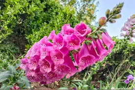 谈谈仰视、俯视与平视三种视角图片