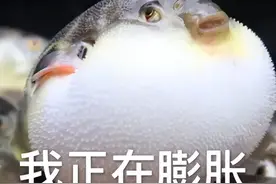 QQ极简版！真正的小而美，体积不到原来三分之一图片