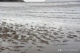 浙江舟山的“黑沙滩”，连沙子都是水流的形状，宛如身在北欧图片