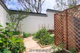700000元！苏州有一处中式小院，你愿意用吗？图片