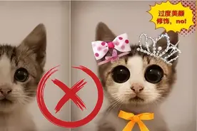 2022年法考开始报名了！这样的照片让审核老师哭晕在办公室，新技能赶快get！图片