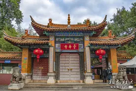 生态云南（五十四）昙华秋韵，彩菊飘香图片