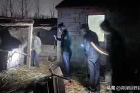 冯大爷的牛回家了！图片