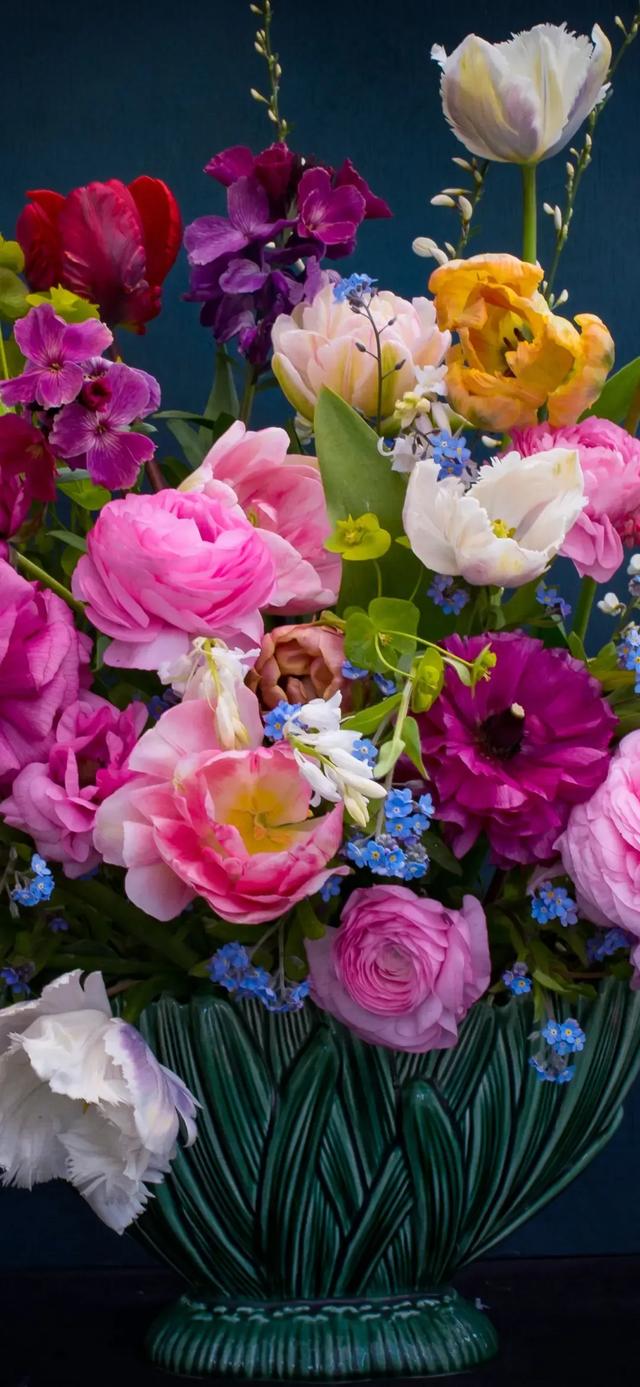 高清壁纸|植物花卉,治愈养眼,小清新唯美