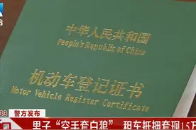 武汉一男子“空手套白狼”，租车抵押套现15万元，系伪造机动车登记证书图片