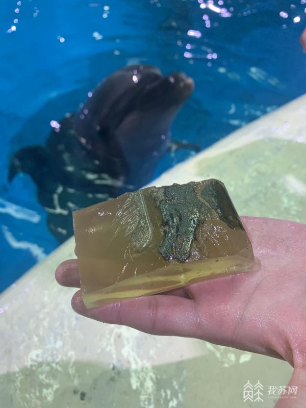 花胶螺旋藻 2025年螺旋藻和蜂胶哪个对胃好 花胶螺旋藻 2025年螺旋藻和蜂胶哪个对胃好