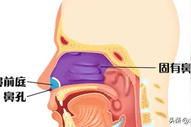 在医生的建议下，我用5块钱缓解了自己的季节性过敏鼻炎图片