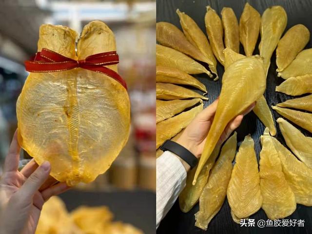 白花胶和花胶一样吗 白花胶和花胶一样吗能吃吗