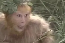 西游记里的绝妙隐喻图片