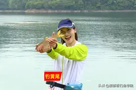 春天如何钓黄尾鱼？怎样选择钓位和鱼饵？春天钓黄尾鱼的四个技巧图片