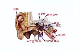 外耳道炎，不是小病一场！——了解它的类型、危害、预防和治疗图片