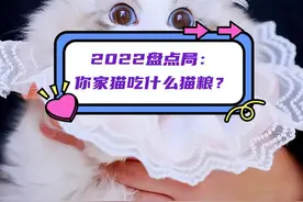 2022盘点局：你家猫吃什么牌子的猫粮？图片