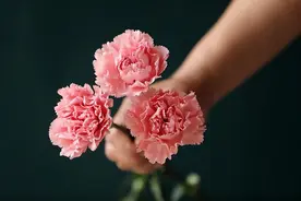 人这一生，啥最重要？图片