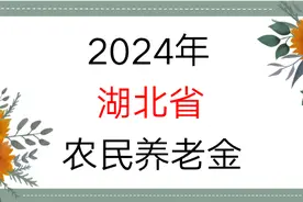24年湖北省农民养老金能领多少钱？缴纳15年，每年能领6000元吗图片