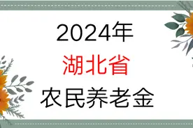 24年湖北省农民养老金能领多少钱？缴纳15年，每年能领6000元吗图片