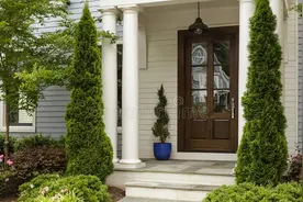 富不富，门前树！有院子可栽7种树，小投入大回报，越养越划算图片