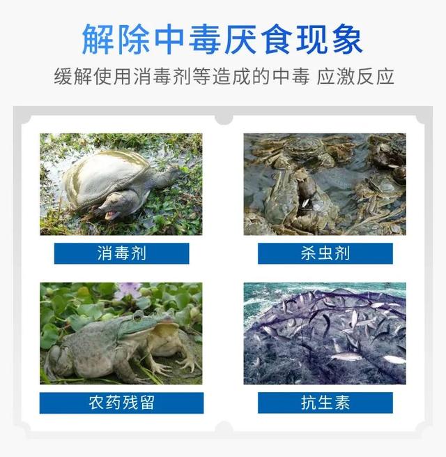 解毒活水神器：激活解毒灵，中性解毒，温和不伤水，无任何刺激