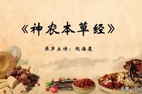 倪海厦中医必学经典《神农本草经》第一章 前言图片