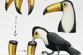 脑洞大开！17幅细思极恐的插画，恐怖，仅此而已图片