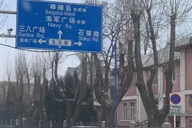 关于大连市养老金新办法调整的建议图片