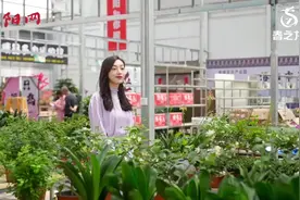 凉风有信，花开李楼——洛阳第四届盆景插花艺术展将举办图片