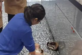 湖北女子饭店吃饭偶遇服务员晕倒，心肺复苏3分钟成功救助图片