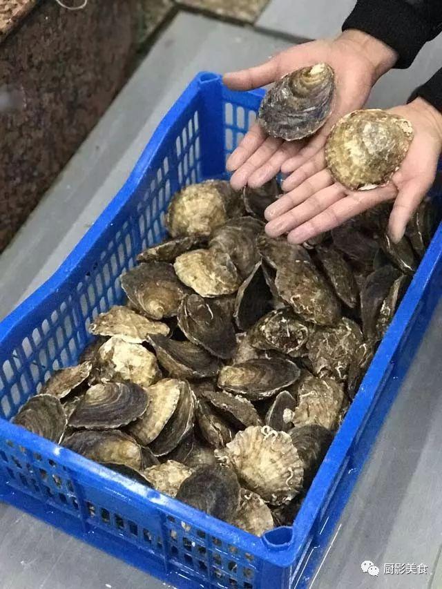 花胶选几级的 花胶等级顺序鱼胶排名大全
