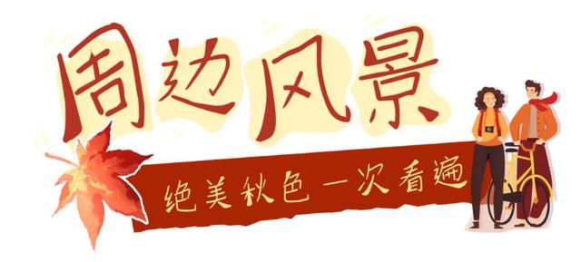 最新实拍！烟台鱼鸟河“顶级秋色”加载中