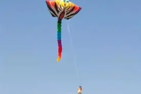 男子放风筝反被带上天 巨型风筝不可贸然尝试图片