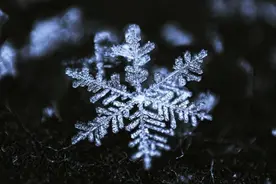 这么多雪花，竟然找不出两片一样的？图片