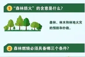 森林防火小知识一图来掌握；农村火灾防控小贴士图片