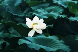 别猜了，一个人疏远你，原因很明显图片