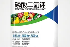 如何妙用万能肥磷酸二氢钾，必学的复配小妙招和注意事项图片