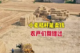 小麦秸秆还能卖钱，一亩地几十到几百，回收后的秸秆都干什么了？图片