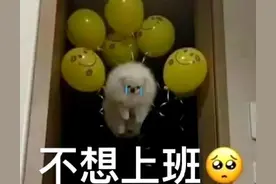 表情包‖没钱了，我要去打工了。挣点小钱就躺平。图片