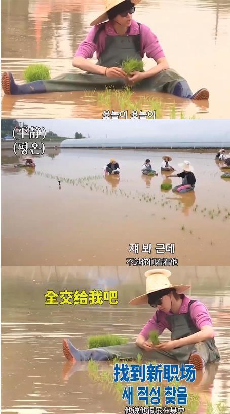 13岁带领舞团登天天向上，后赴韩国顶流男团出道，劝粉丝有序追星