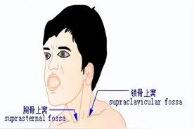 呼吸困难常见急症及现场救护图片