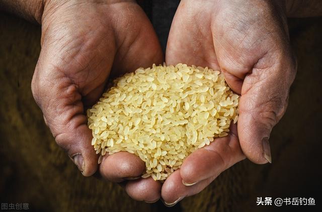 大米钓鱼不如小米好用？片面！只因用错了方法，错过了爆护的时机