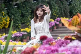 初冬氛围拉满！重庆南山植物园赏菊攻略来了图片