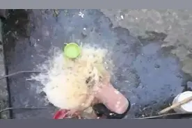 一个人越来越颓废的三种迹象图片