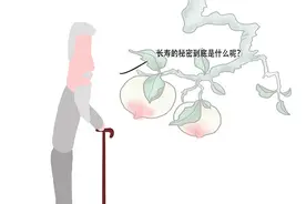 一辈子不抽烟、不喝酒，会长寿吗？“烟酒色”三瘾，哪个更损寿？图片