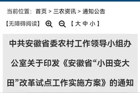 到2025年，“小田”变“大田”面积达到3000万亩，安徽这样干！图片
