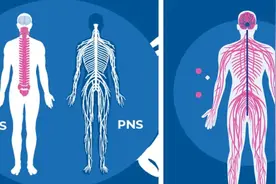 床上和运动前后：最适合做的事！人皆有需要图片